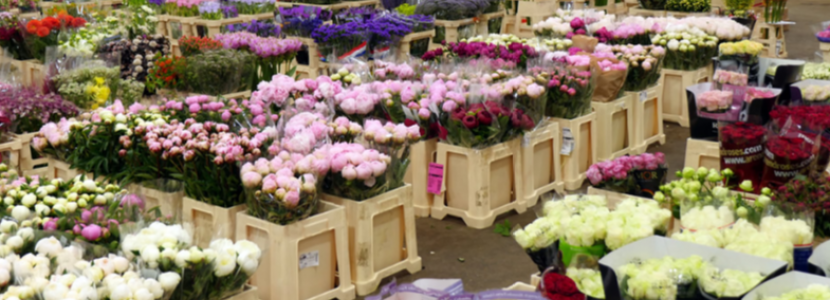 Early Christmas Shopping in New Covent Garden Flower Market | Cities of